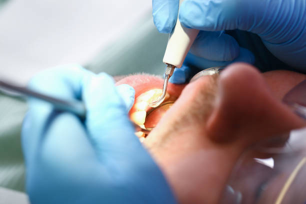 Best Urgent Tooth Repair  in Levittown, PA